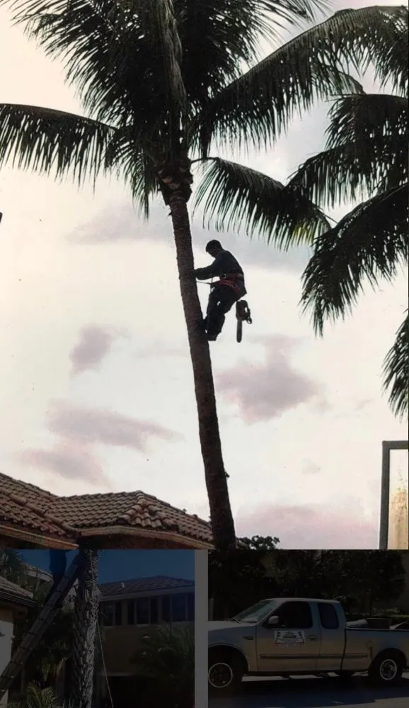 Custom garden landscaping with custom design across Lake Worth, FL - Mario Miguel Landscaping