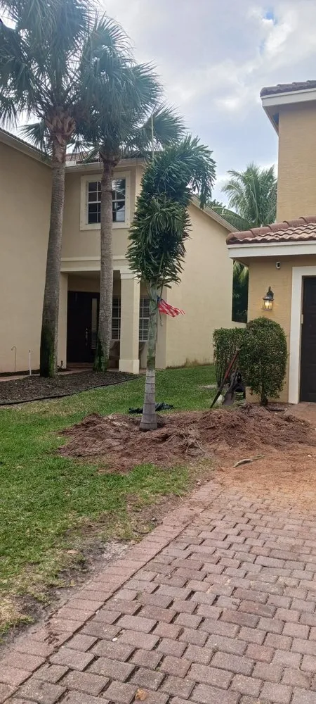 Trusted yard cleanup service with custom design across Lake Worth, FL - Mario Miguel Landscaping