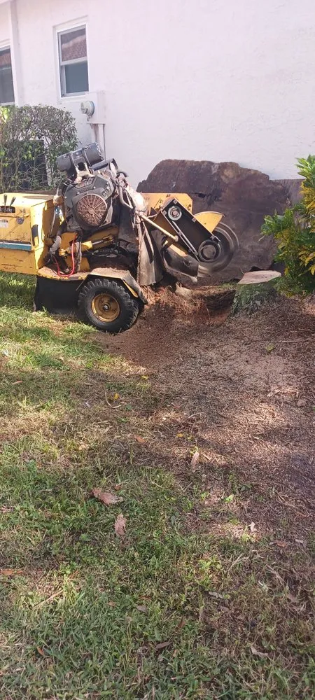 Trusted landscape installation experts serving Lake Worth, FL - Mario Miguel Landscaping