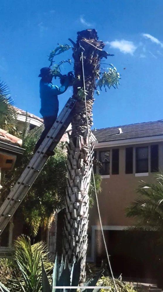 Reliable landscaping services experts serving Lake Worth, FL - Mario Miguel Landscaping