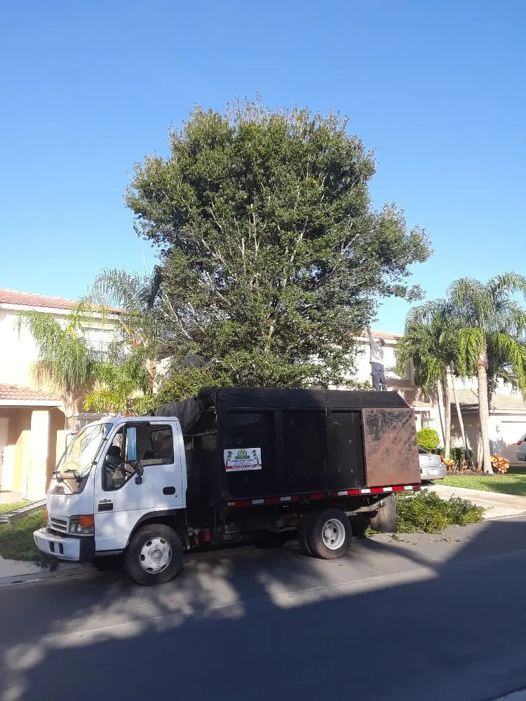 Top-rated lawn care service in Lake Worth, FL by Mario Miguel Landscaping