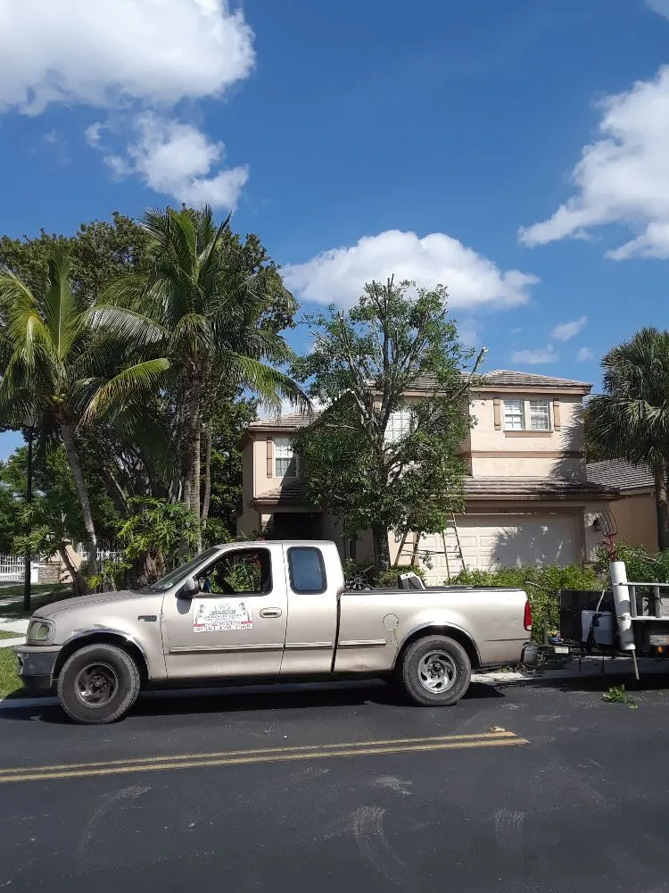 Custom yard cleanup service near you in Lake Worth, FL by Mario Miguel Landscaping