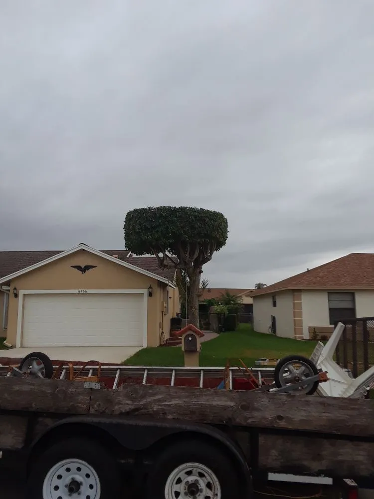 Trusted lawn mowing service in Lake Worth, FL by Mario Miguel Landscaping