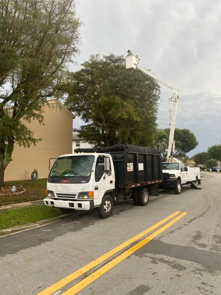 Custom garden landscaping for outdoor upgrades in Lake Worth, FL by Mario Miguel Landscaping