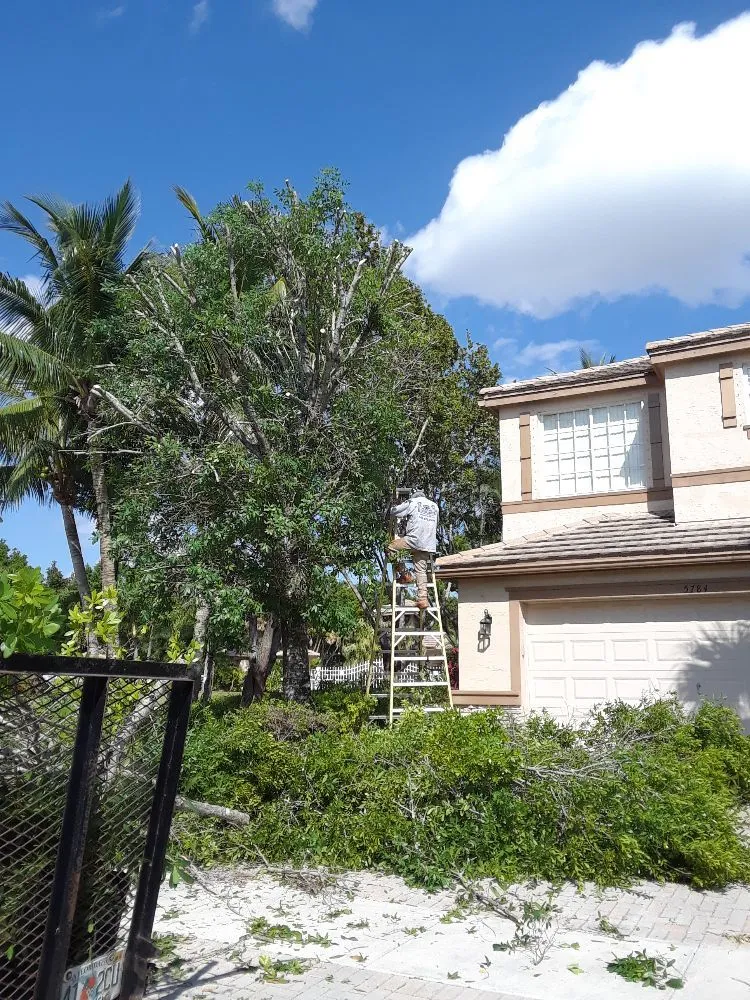 Professional garden landscaping in Lake Worth, FL - Mario Miguel Landscaping