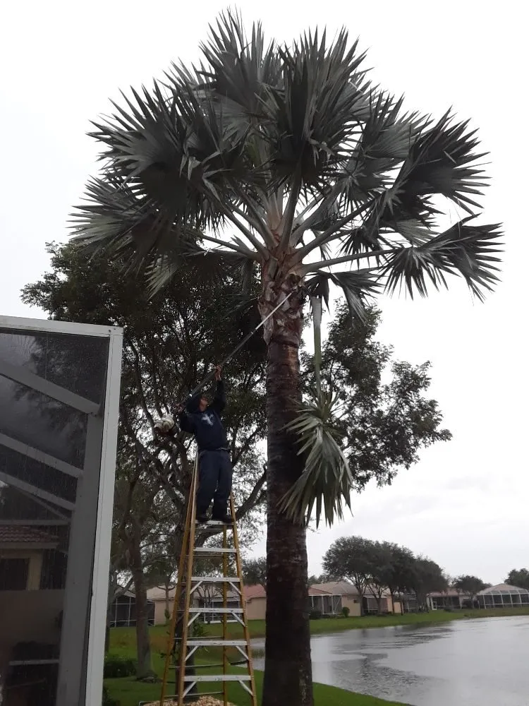 Trusted lawn mowing service in Lake Worth, FL - Mario Miguel Landscaping