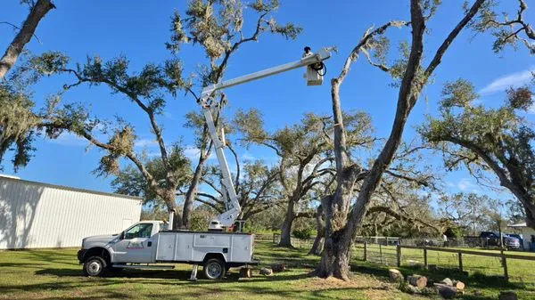 Mario Miguel Landscaping