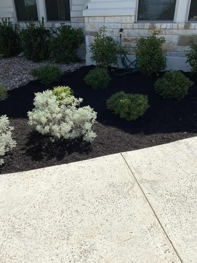 Top-rated outdoor landscaping for year-round maintenance in Austin, TX by Mario Montes Landscaping