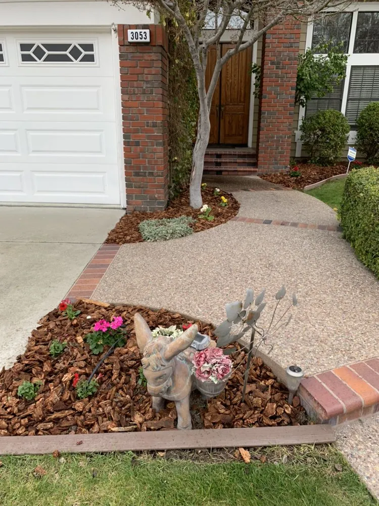 Trusted landscape installation experts serving Brentwood, CA - Mario Sanchez Landscaping and Associates