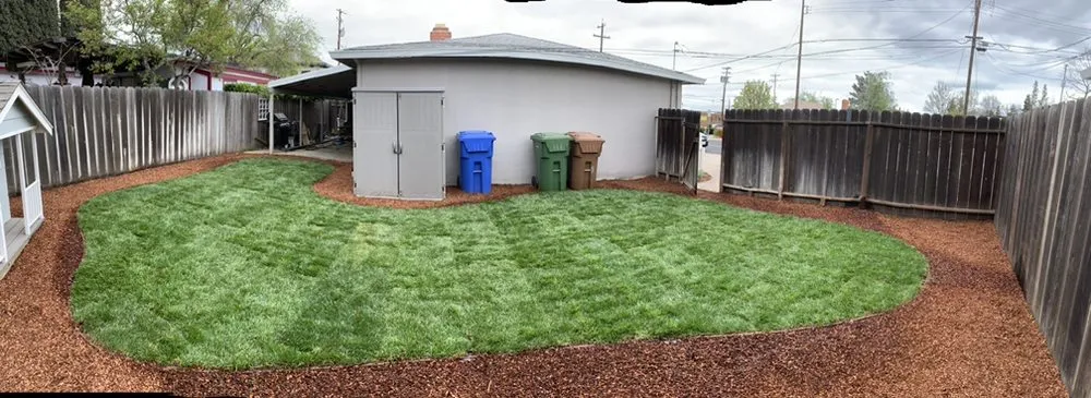 Expert garden landscaping for outdoor upgrades across Brentwood, CA - Mario Sanchez Landscaping and Associates