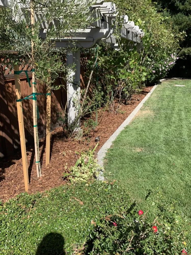 Local landscape design for beautiful yards in Brentwood, CA by Mario Sanchez Landscaping and Associates