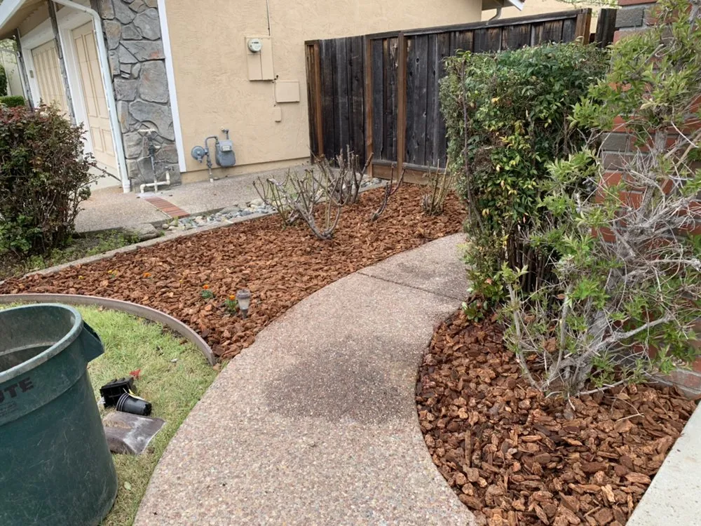 Local residential landscaping for beautiful yards in Brentwood, CA by Mario Sanchez Landscaping and Associates