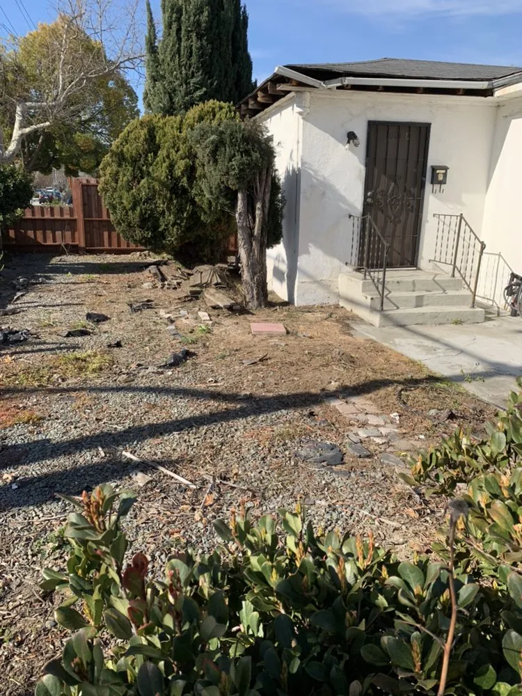 Custom lawn mowing service in Brentwood, CA - Mario Sanchez Landscaping and Associates