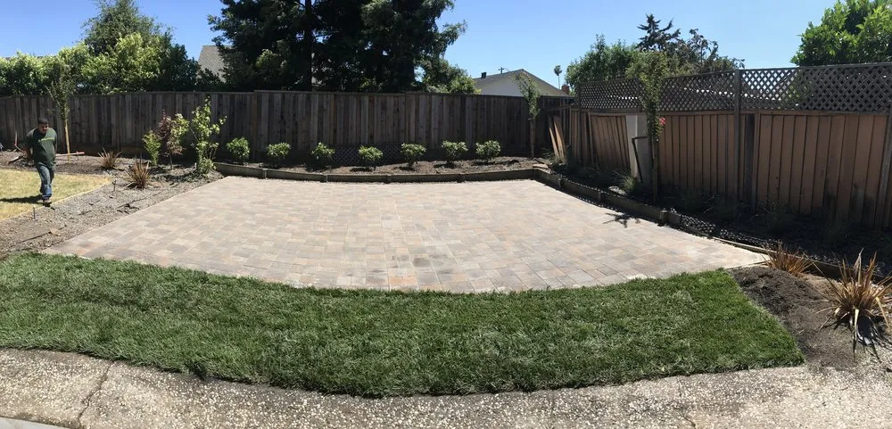 Professional yard maintenance experts serving Brentwood, CA - Mario Sanchez Landscaping and Associates