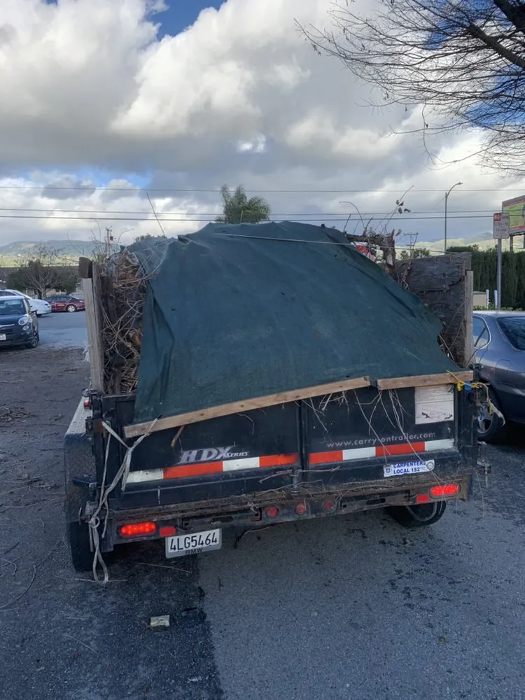 Custom outdoor landscaping in Brentwood, CA by Mario Sanchez Landscaping and Associates