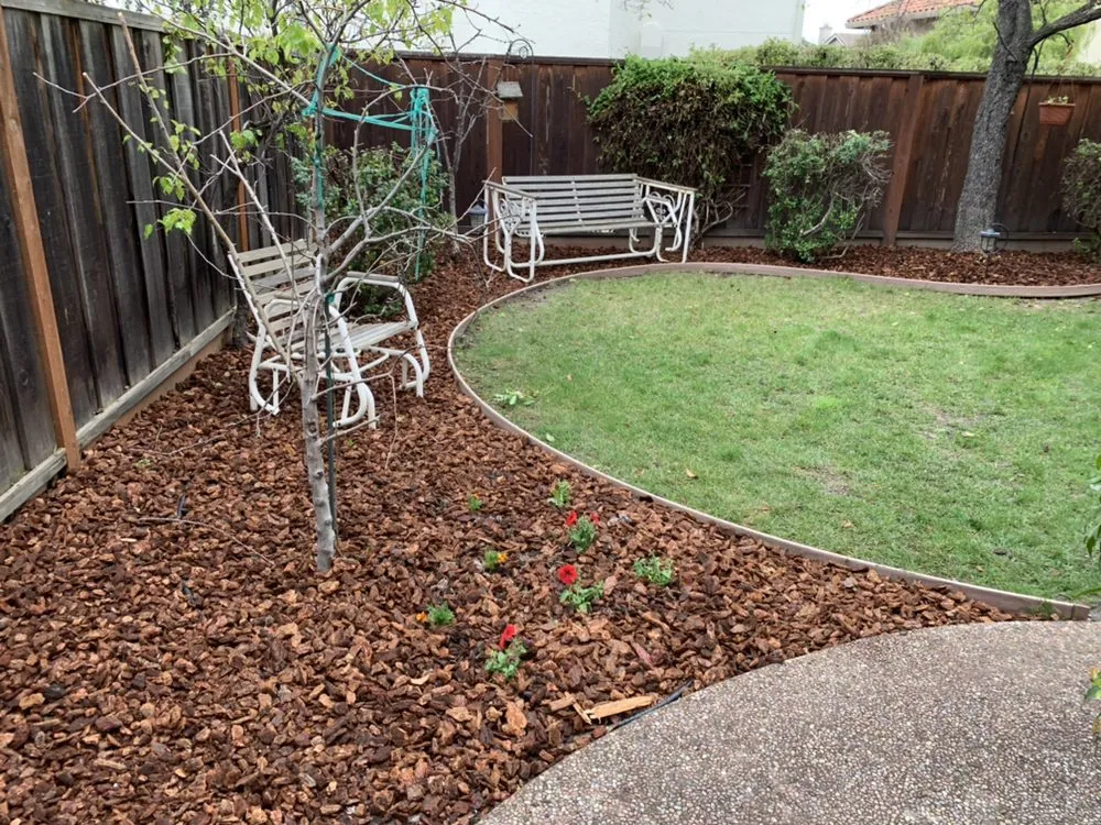 Affordable landscape installation in Brentwood, CA by Mario Sanchez Landscaping and Associates