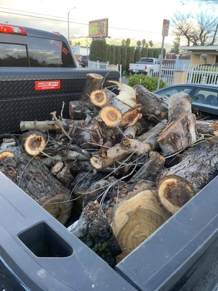 Affordable outdoor landscaping for year-round maintenance across Brentwood, CA - Mario Sanchez Landscaping and Associates