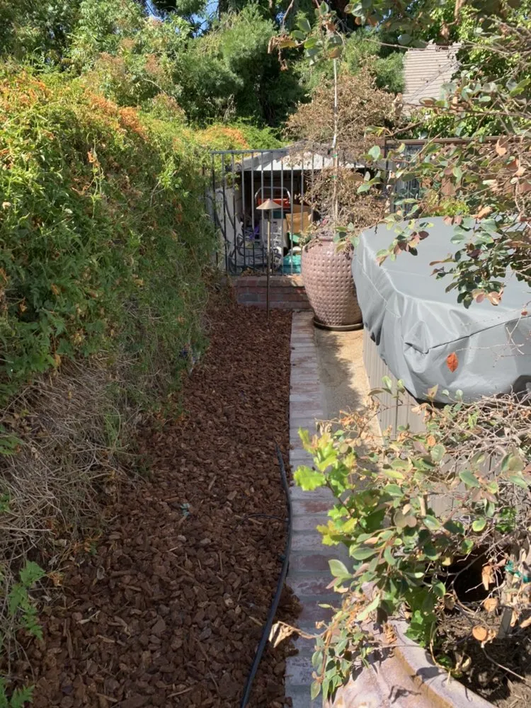 Professional residential landscaping in Brentwood, CA by Mario Sanchez Landscaping and Associates