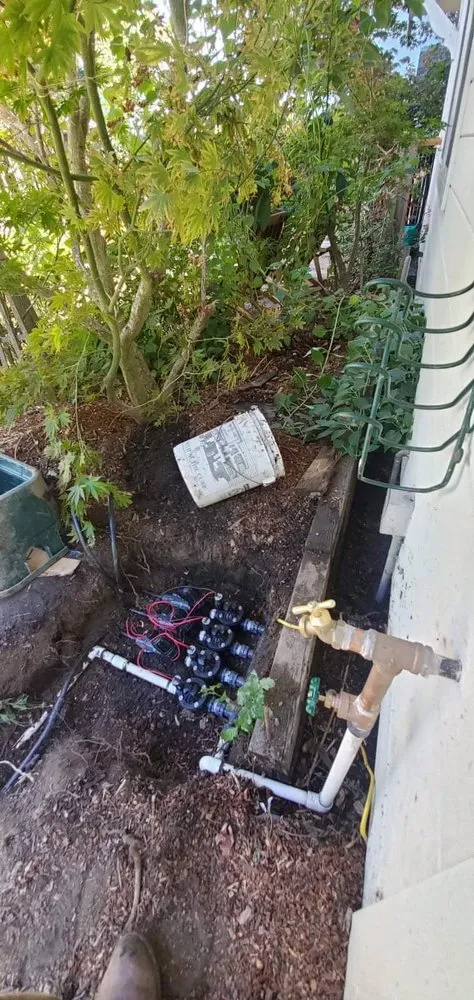 Reliable yard maintenance experts serving San Anselmo, CA - Mario Sprinkler Repair