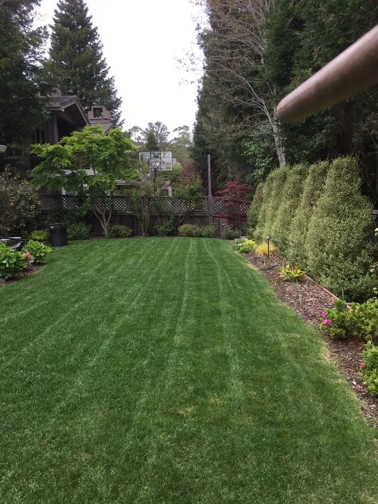 Affordable lawn mowing service for year-round maintenance in San Anselmo, CA by Mario Sprinkler Repair