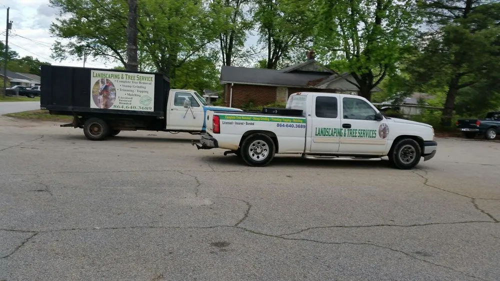 Professional landscape design experts serving Greenville, SC - Mario Tree Service