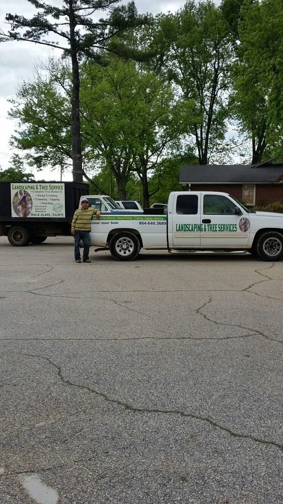 Trusted lawn mowing service with custom design across Greenville, SC - Mario Tree Service