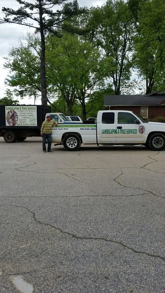 Custom landscaping services with custom design in Greenville, SC by Mario Tree Service