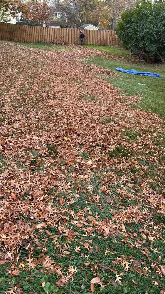 Reliable lawn mowing service in Hyattsville, MD by Mario&B landscaping