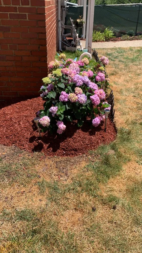 Affordable outdoor landscaping near you in Hyattsville, MD by Mario&B landscaping