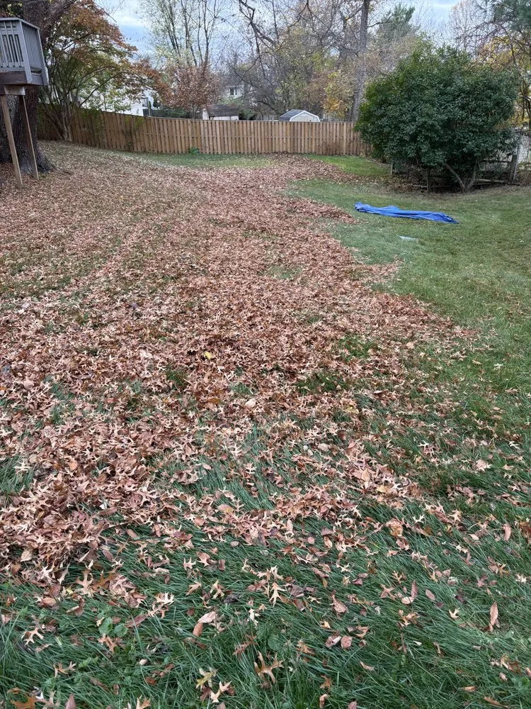 Affordable lawn care service in Hyattsville, MD - Mario&B landscaping