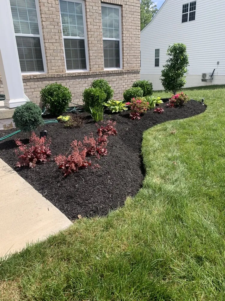 Reliable residential landscaping in Hyattsville, MD by Mario&B landscaping