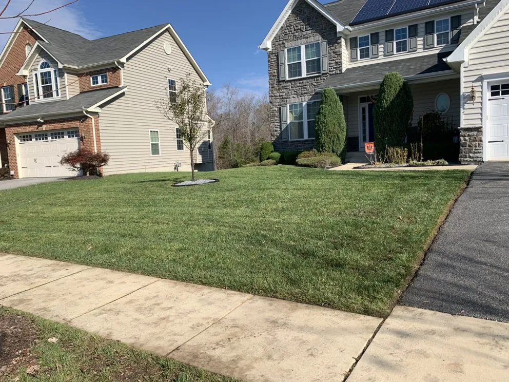 Custom yard cleanup service in Hyattsville, MD by Mario&B landscaping