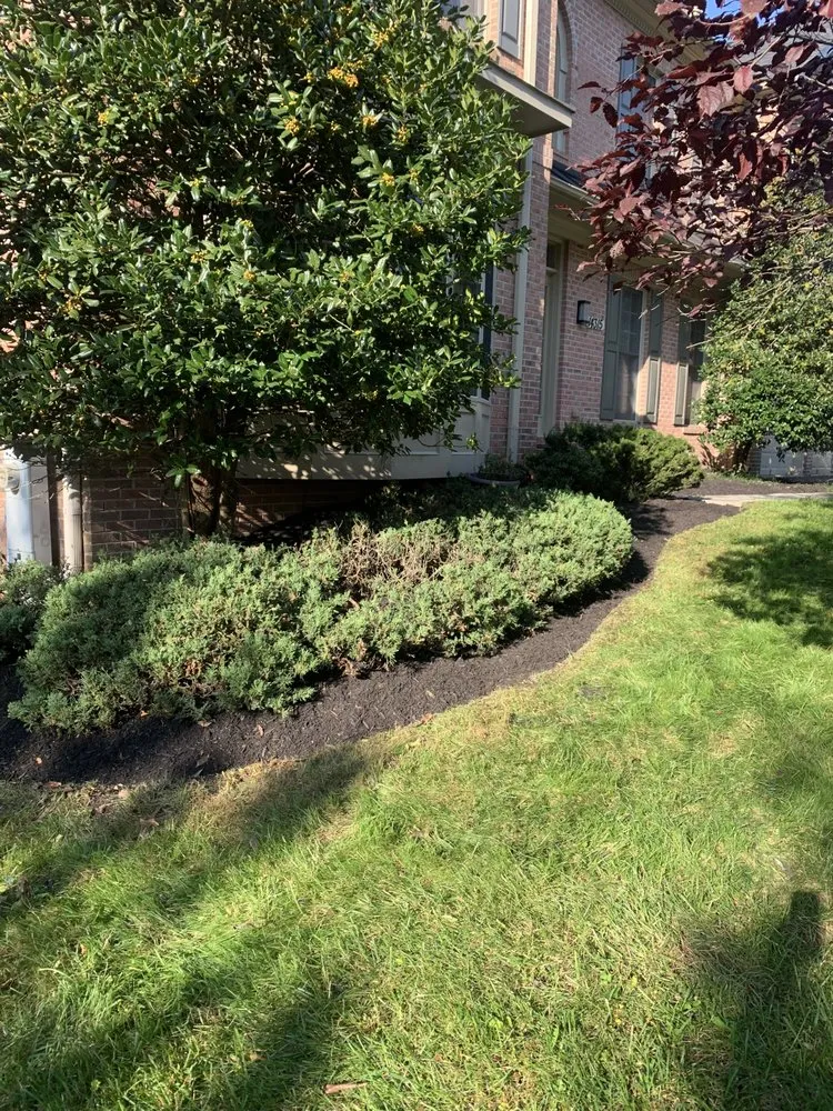 Local garden landscaping with custom design in Hyattsville, MD by Mario&B landscaping