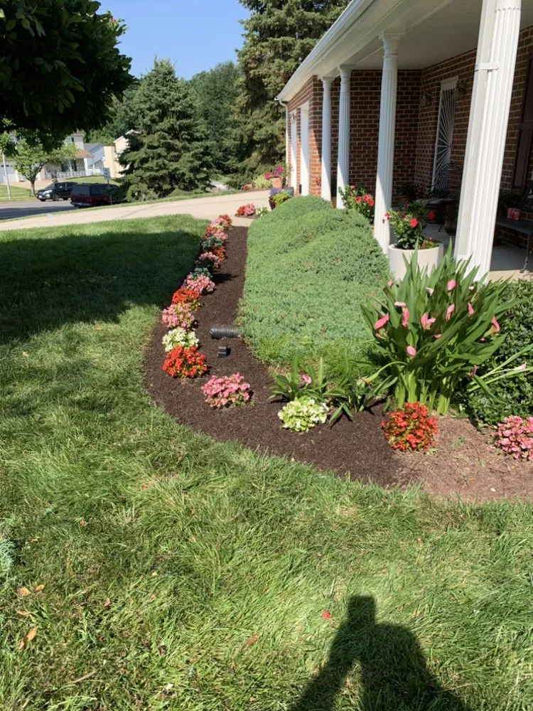 Expert landscape installation for beautiful yards in Hyattsville, MD by Mario&B landscaping