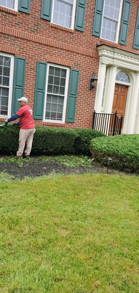 Local garden landscaping in Hyattsville, MD - Mario&B landscaping