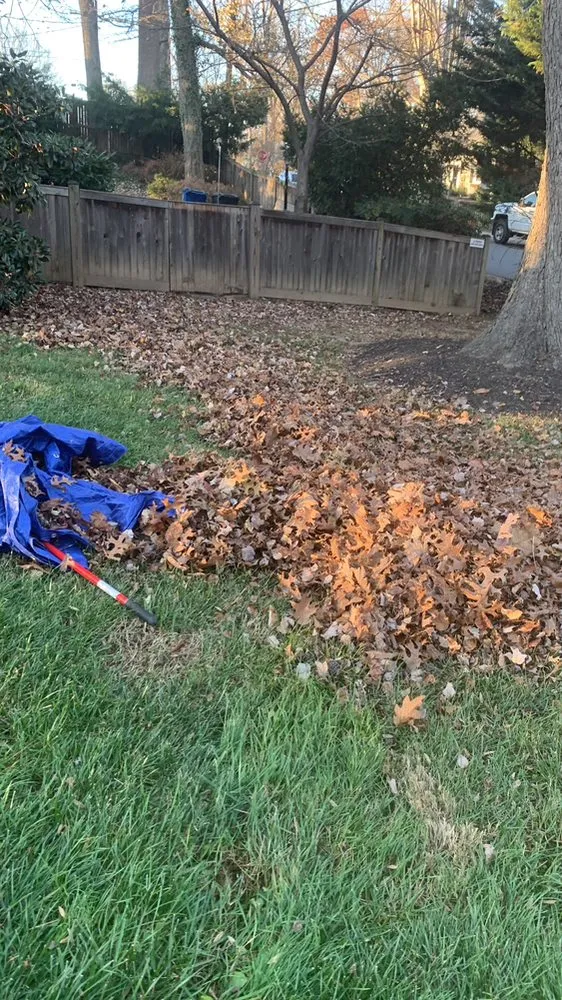 Trusted outdoor landscaping experts serving Hyattsville, MD - Mario&B landscaping