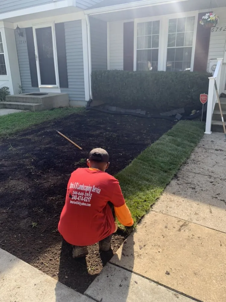 Local yard maintenance experts serving Hyattsville, MD - Mario&B landscaping