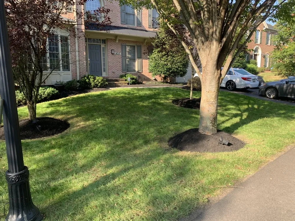 Professional residential landscaping in Hyattsville, MD by Mario&B landscaping