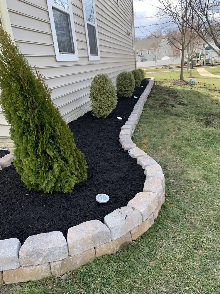 Affordable lawn care service in Hyattsville, MD by Mario&B landscaping