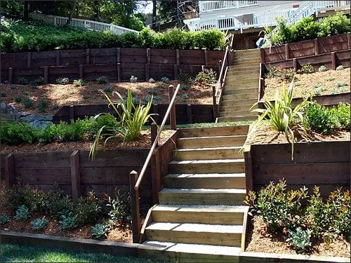 Professional lawn care service experts serving San Rafael, CA - Marion Landscape Construction