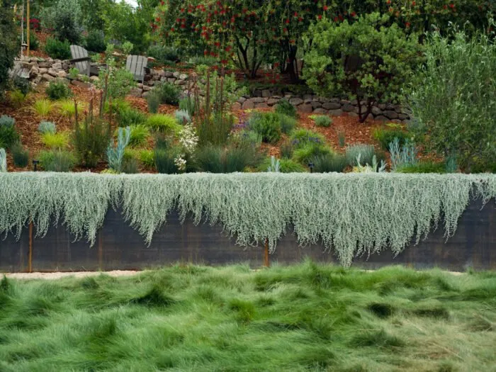 Top-rated lawn care service with custom design across San Rafael, CA - Marion Landscape Construction