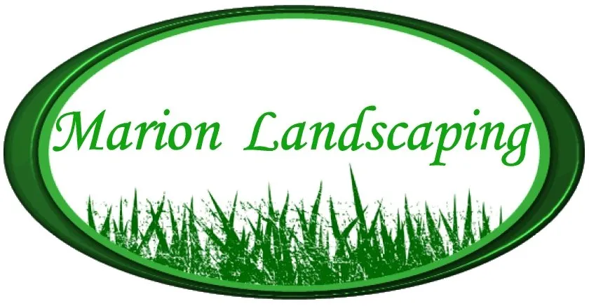 Local yard cleanup service experts serving Edgewater Park, NJ - Marion Landscaping
