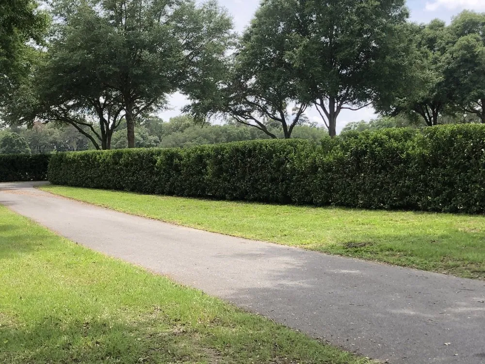 Professional yard cleanup service near you across Ocala, FL - Marion Lawn and Landscape