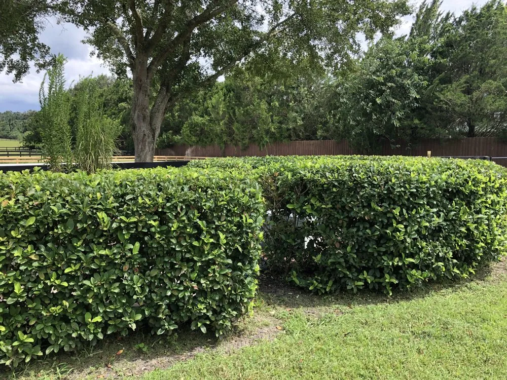 Local residential landscaping with custom design in Ocala, FL by Marion Lawn and Landscape