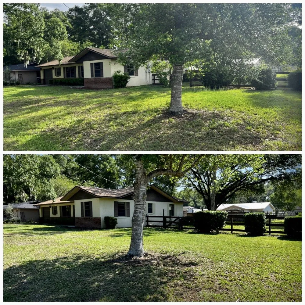 Local residential landscaping experts serving Ocala, FL - Marion Lawn Solutions