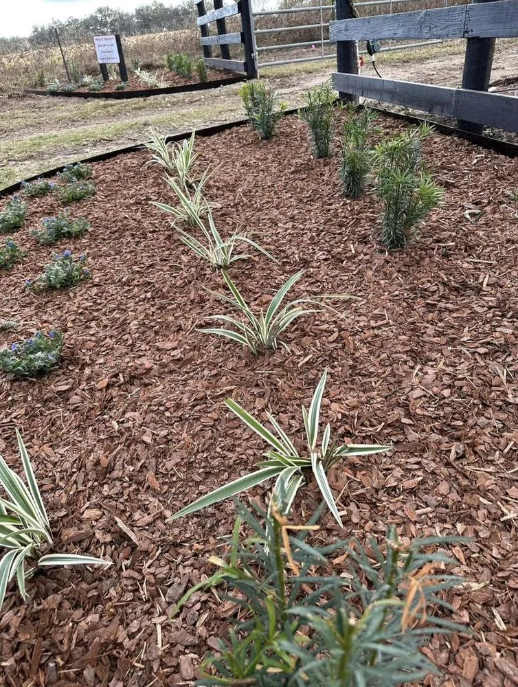 Local outdoor landscaping experts serving Ocala, FL - Marion Precision Lawn & Landscape