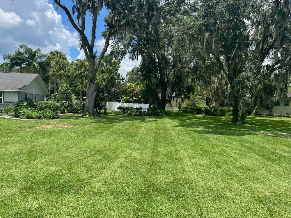 Top-rated yard maintenance in Ocala, FL - Marion Precision Lawn & Landscape