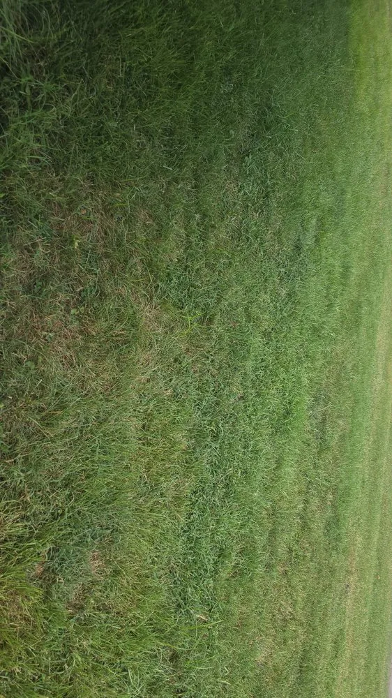 Affordable garden landscaping experts serving Marion, IL - Marion Trim & Tidy