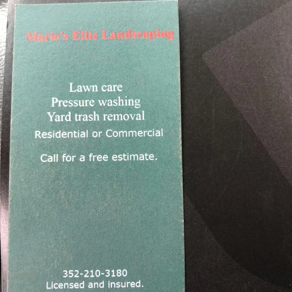 Local landscape design experts serving Cross City, FL - Mario’s Elite Landscaping