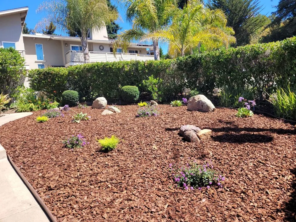 Expert lawn mowing service in Santa Cruz, CA - Mario's Gardens